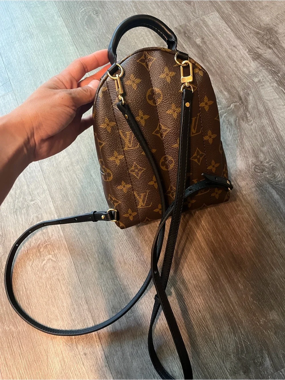 Louis Vuitton Monogram Mini Backpack in Brown and Gold